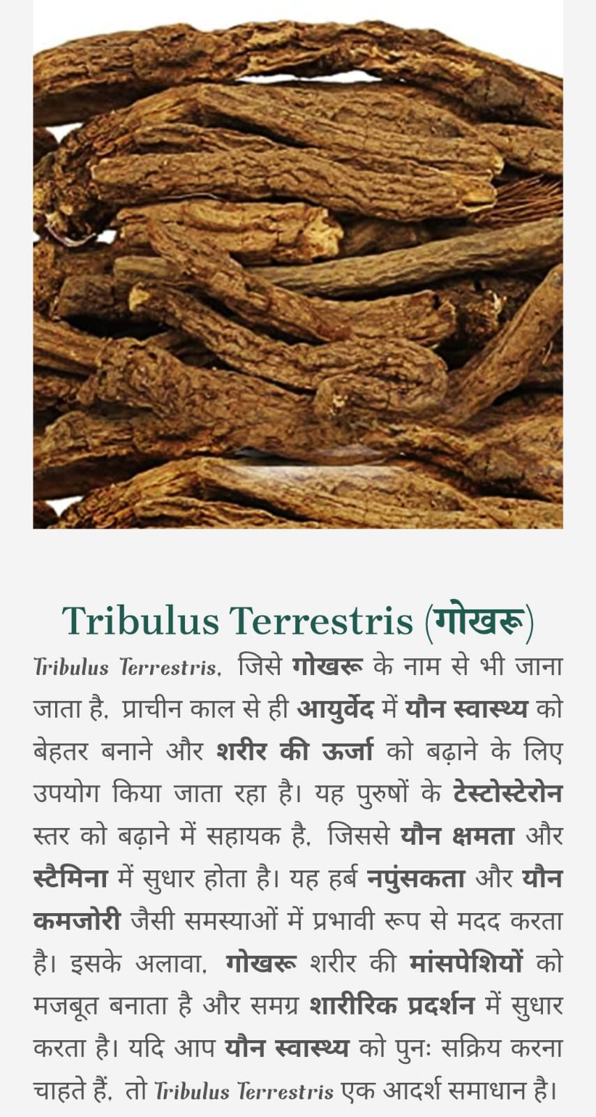 WhatsApp Image 2025-01-24 at 12.55.59 PM (1)